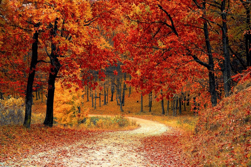 El otoño será con temperaturas primaverales