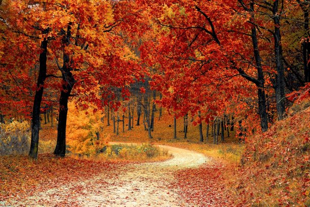 El otoño será con temperaturas primaverales