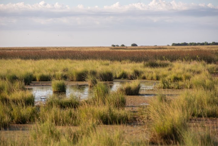 Maria Samanta Anguiano Campo: "El Parque Nacional Campos del Tuyu tiene 17 años y está a la altura de la base donde está la sonrisa de la bahía de San Boronbón"