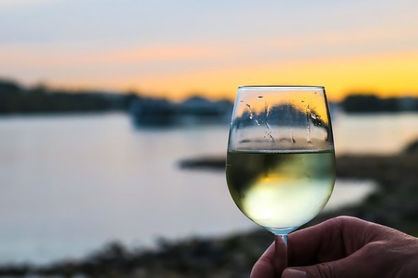 ¿Cómo hacer vino blanco con uva tinta?