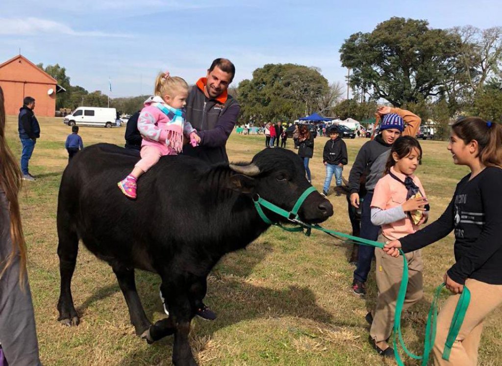 Impulsó la búfalo - terapia en Argentina: "Son animales muy inteligentes, muy tiernos y que te devuelven lo que le das"
