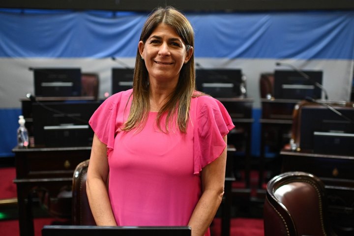 Guadalupe Tagliaferri sobre la ley Bases: "No deber&iacute;an pasar m&aacute;s de tres semanas para que tenga aprobaci&oacute;n"