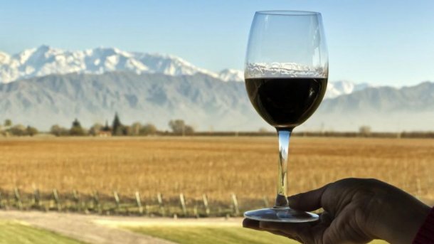 Crece la exportación de vinos producidos en La Patagonia