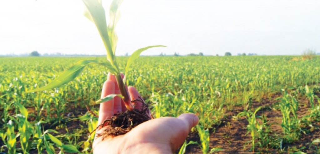 Matías Cardascia: &quot;Es importante la digitalizacion del agro&quot;