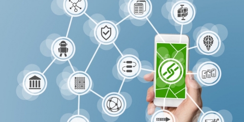 Todas las novedades sobre el agro: Blockchain y soja