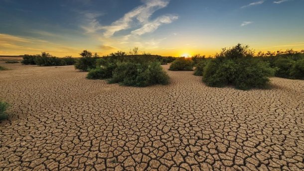 Sequía en todo el país: "Debemos agradecer que los precios de las commodities siguen altos"