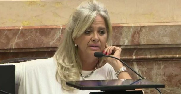 María Inés Pilatti Vergara: "Contrabandear dólares es motivo más que suficiente para expulsarlo”