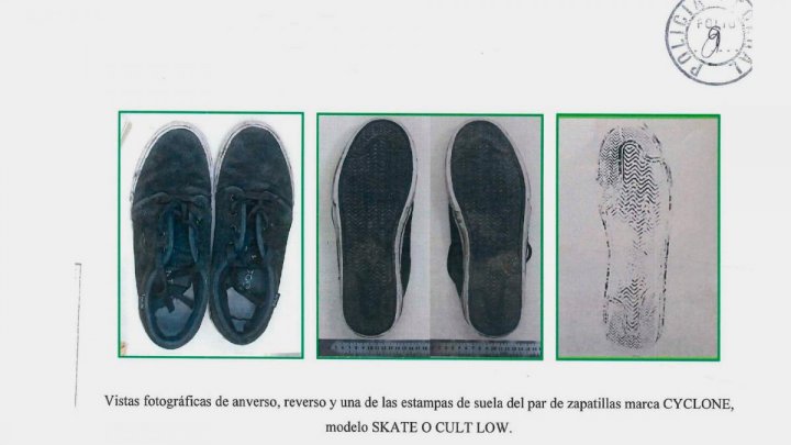 Crimen de Fernando: "No podemos hacer la medición para determinar si el zapatillazo de Thomsen causó la muerte"