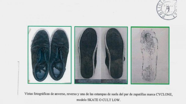 Crimen de Fernando: "No podemos hacer la medición para determinar si el zapatillazo de Thomsen causó la muerte"