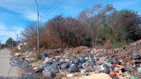 Giselle Munno Dithurbide: "Cada argentino produce un kilo y medio de basura por día; sancionar a los recicladores que ensucian no mejora la situación de quienes revuelven y comen de la basura."