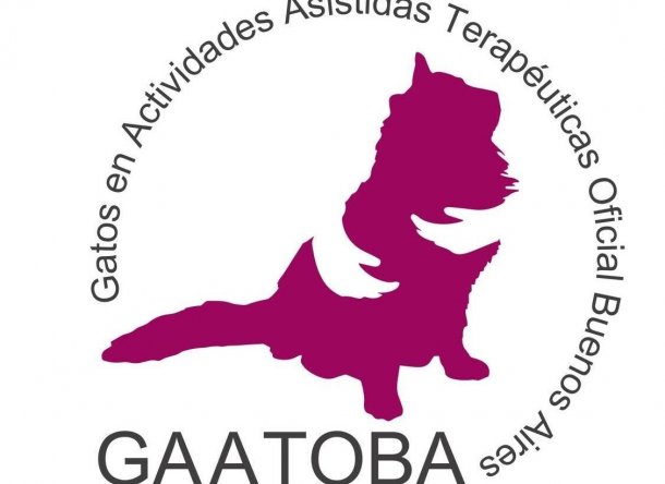 Gaatoba, la terapia con gatos que derriba fuertes mitos en la sociedad