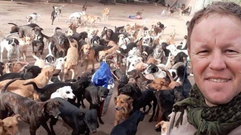 La heroica labor de rescate del refugio para perros "El Montesito de los Canichones"