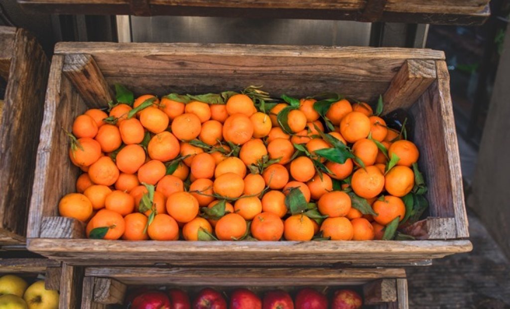 Productores tiraron 8 mil kilos de mandarina: &quot;Querer donarle es sumarle más pérdida al productor&quot;