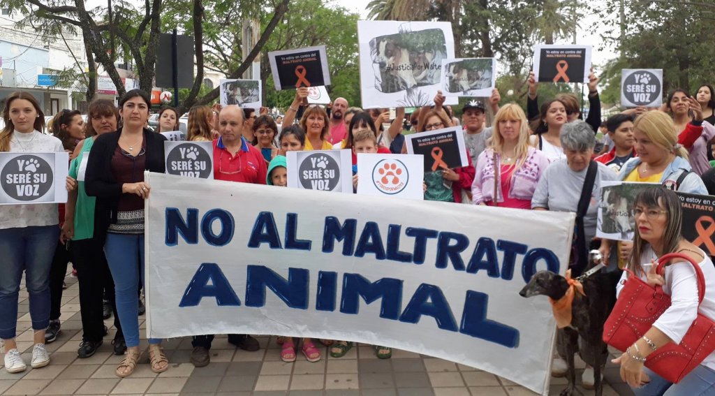 Manifestación pacífica por los queridos animales