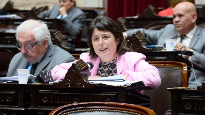 Carolina Gaillard: "El Poder judicial no puede ni legislar ni gobernar"