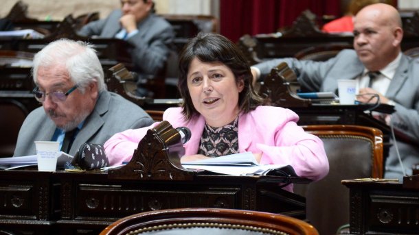 Carolina Gaillard: "El Poder judicial no puede ni legislar ni gobernar"