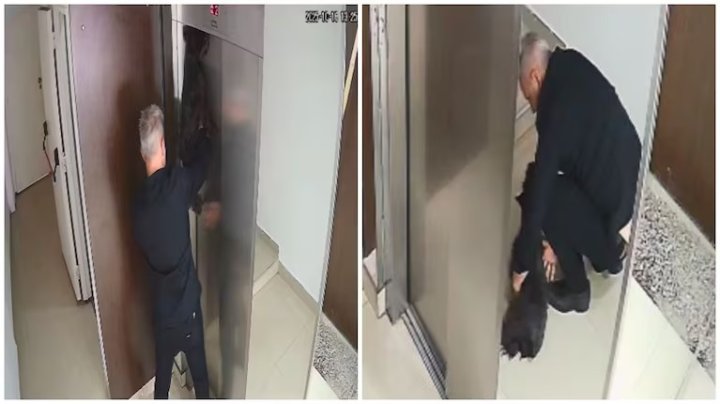 El crudo relato del vecino que salvó a un perro de morir: “No respiraba”