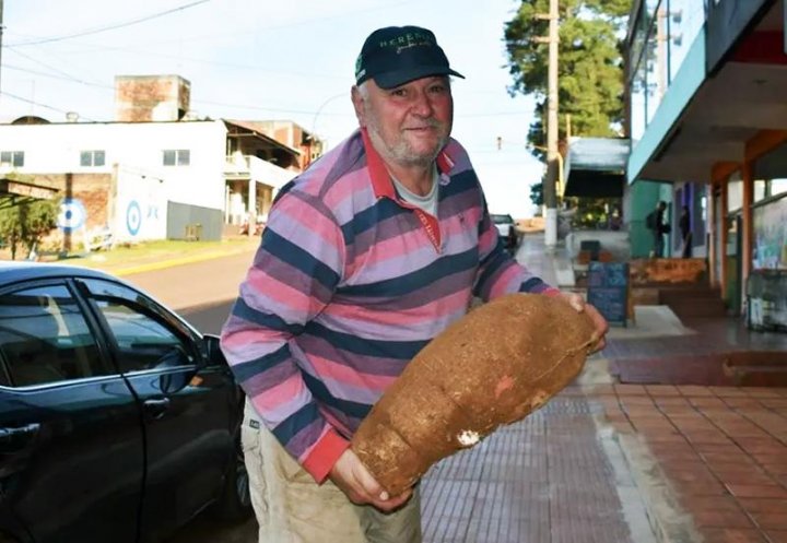 Dialogamos con Miguel Rikaczevski, el chacrero que cosechó una mandioca gigante de 21 kilos