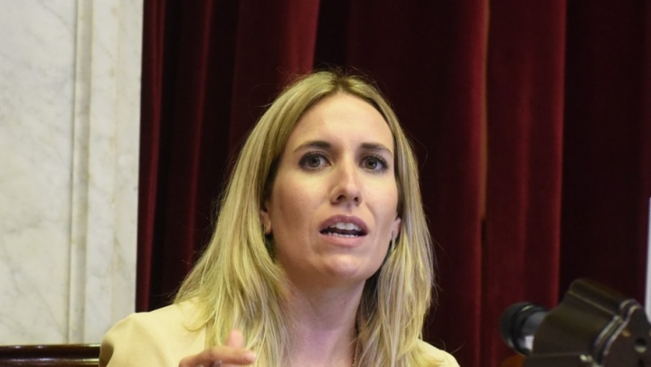 Jimena Latorre: “La nueva Ley de Biocombustibles es el traje que necesita el Gobierno para derivar el poder a sus funcionarios”