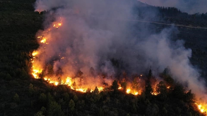 Alberto Seufferheld, sobre el incendio cerca de El Bolsón: &quot;El objetivo para hoy es que el fuego no alcance viviendas ni cruce la ruta&quot;