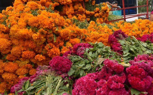 Patricia Cruz : "Somos los principales productores de la Flor de la quebrada"