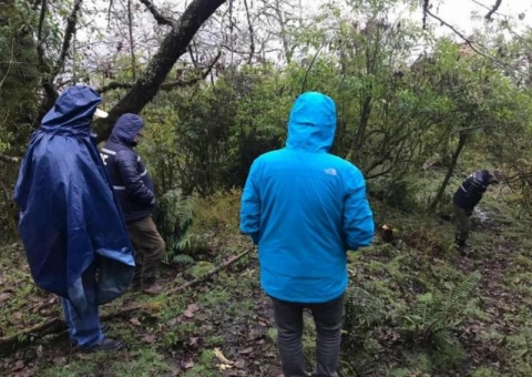 "Hay nueve policías investigados", dijo la fiscal del crimen en Tucumán