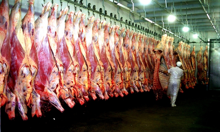 Cierra el frigorífico Pilar S.A y deja el programa Carne para Todos