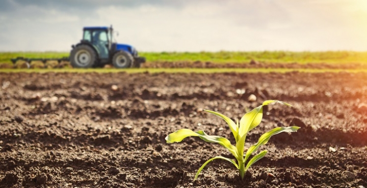 Farmers: Unidades productivas que se manejan en familia