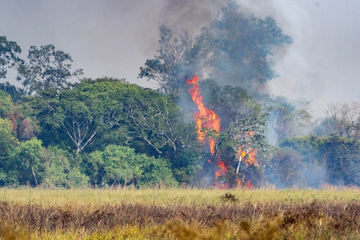 Corrientes nos necesita: La campaña solidaria de Radio Rivadavia para ayudar a la provincia por los incendios