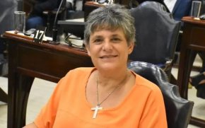Gabriela Neme: “La de Formosa es la primera constitución chavista del país”