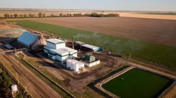 El pueblo cordobés que elude los cortes de luz gracias a la cáscara de maní: "Podemos alimentar con energía hasta 6 mil familias"