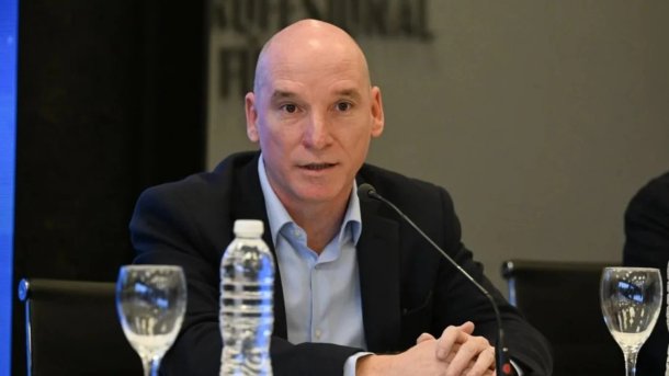 Maximiliano Piñeiro: "De 3.000 delincuentes, el 50% son liberados en el lugar"