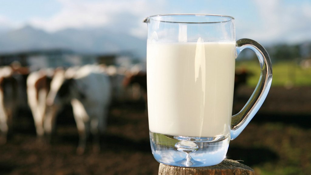 Miguel Taverna: Consumo de leche en Argentina