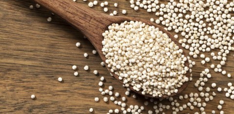 Lucas Guillén: "El objetivo es que la Quinoa sea una producción nacional"