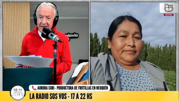 La localidad de Neuquén que asegura tener las mejores frutillas del país