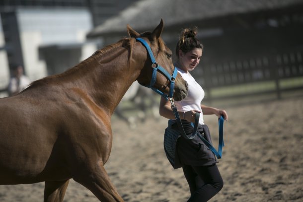 Llega "Nuestros Caballos" a La Rural en su 20° edición