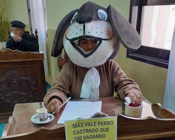 Una concejal de La Quiaca se vistió de perro: "Quise representar a todos los callejeritos pidiendo la castración masiva"