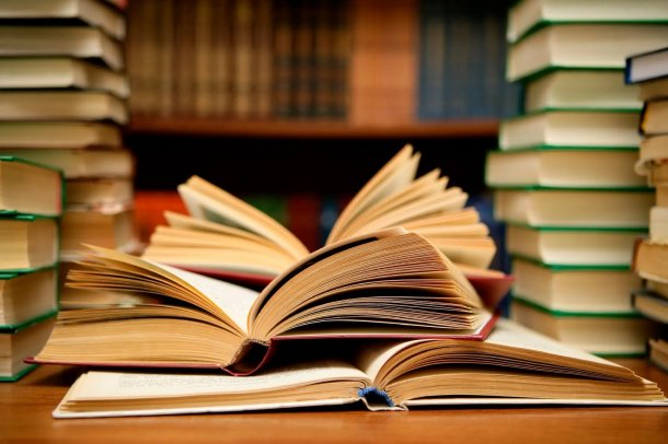 El exitoso libro "Somos lo que decimos"