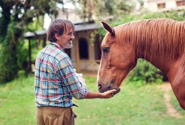 Diego D'angelo: "Cuando el caballo siente que lo entendés, te entrega la vida"