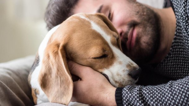 Veterinario Ricardo Luis Bruno: "abrazar a los perros o gatos los estresa"