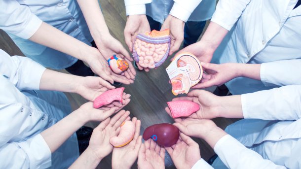 Dra. Liliana Bisigniano: “La lista de distribución de órganos no se puede alterar y todo el proceso es completamente transparente”