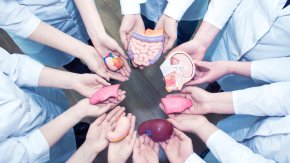 Dra. Liliana Bisigniano: &ldquo;La lista de distribuci&oacute;n de &oacute;rganos no se puede alterar y todo el proceso es completamente transparente&rdquo;