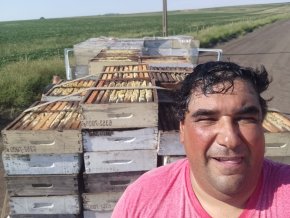 Ruben Omar Montero: "Somos unos h&aacute;biles ladrones del trabajo de la abeja"