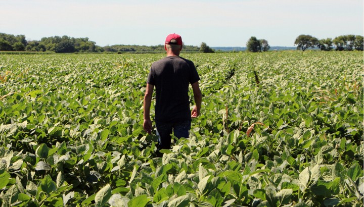 Silvio Montenegro: &quot;El sector agropecuario tiene una contribución por encima del de todas las áreas económicas&quot;