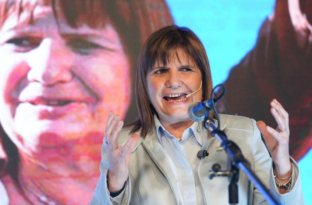 Patricia Bullrich cruzó a parte del PRO por la ley Bases: &quot;El pincelito fino de &#039;no me gusta esta cosa&#039; no va&quot;