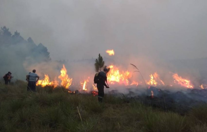 José Vizcaychipi: &quot;Desde el Gobierno Nacional vinieron a sacarse fotos, son amorales&quot;