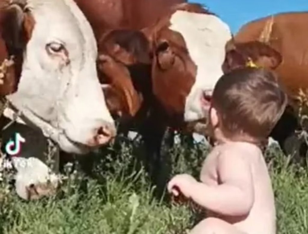 Augusto Gastaldo, mostró como se gesta el vínculo entre su hijo y los animales: “Se dio de manera espontánea, no fue preparado, queremos que crezca en el ámbito rural”