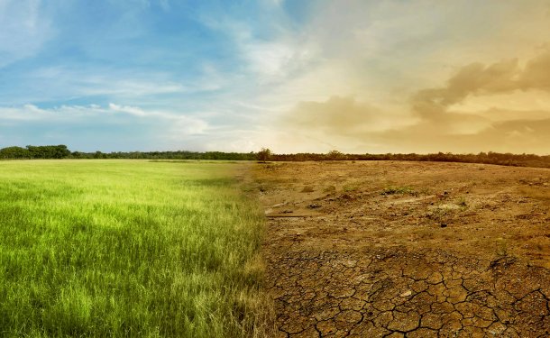 Claudio Bertona: "Nuestros alumnos en los últimos 10 años luchaban por el calentamiento global y el cuidado del medio ambiente"