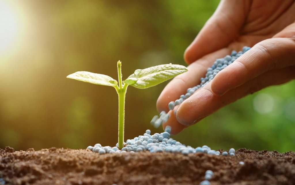 Fertilizantes: su importancia para la producción de todos los alimentos