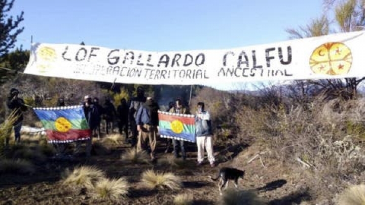 Luego del desalojo la dueña del terreno expresó su tranquilidad por retomar su vida normal